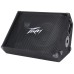 Peavey PV® 12M 2-Way Passive Floor Monitor