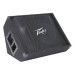 Peavey PV® 12M 2-Way Passive Floor Monitor