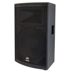 Peavey SP2 1000-Watt 2-Way PA Speaker