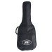 Peavey DW-2 Solid Top Dreadnaught Acoustic Guitar With Bag-03620200