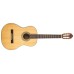 Peavey CNS-2 Solid Top Classical Guitar