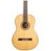Peavey CNS-2 Solid Top Classical Guitar