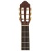 Peavey CNS-2 Solid Top Classical Guitar