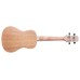 Peavey Composer Concert Ukulele-Natural