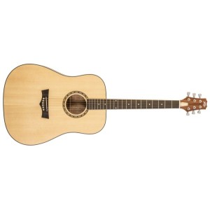 Peavey DW1 Acoustic Guitar With Bag