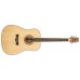 Peavey DW1 Acoustic Guitar With Bag