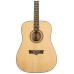 Peavey DW1 Acoustic Guitar With Bag