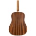 Peavey DW1 Acoustic Guitar With Bag