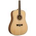 Peavey DW1 Acoustic Guitar With Bag
