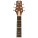 Peavey DW1 Acoustic Guitar With Bag