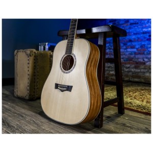 Peavey DW1 Acoustic Guitar With Bag
