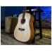 Peavey DW1 Acoustic Guitar With Bag