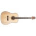 Peavey DW-2 Solid Top Dreadnaught Acoustic Guitar With Bag-03620200