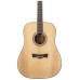 Peavey DW-2 Solid Top Dreadnaught Acoustic Guitar With Bag-03620200
