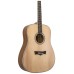 Peavey DW-2 Solid Top Dreadnaught Acoustic Guitar With Bag-03620200