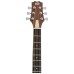 Peavey DW-2 Solid Top Dreadnaught Acoustic Guitar With Bag-03620200