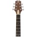 Peavey DW2-CE Solid Top Cutaway Electro-Acoustic Guitar