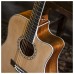 Peavey DW2-CE Solid Top Cutaway Electro-Acoustic Guitar