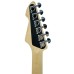 Peavey Raptor Custom Columbia Blue Electric Guitar-03026670