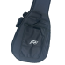Peavey DW-2 Solid Top Dreadnaught Acoustic Guitar With Bag-03620200